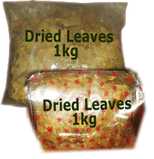 Dried Leaves
       1kg
